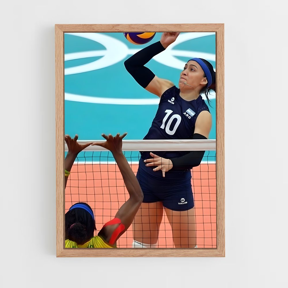 Poster Équipe de Volleyball Argentine (vue 4)